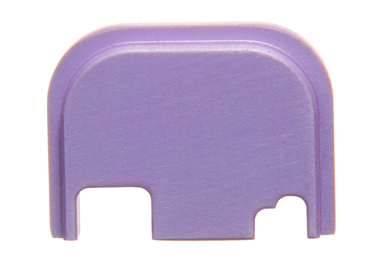 NGS Backplate - PREORDER